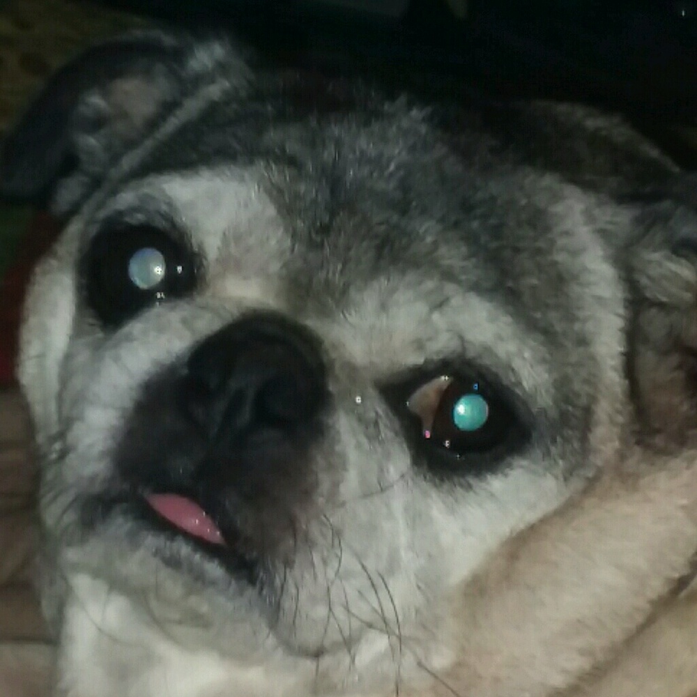 Meet your Posher, Debbie